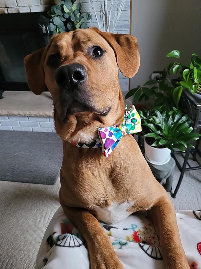 Lionet Paws Valentine's Day Dog and Cat Collar with Bowtie, Soft and Comfortable, Adjustable Collar for Puppies and Cats, Neck 8-12 inches