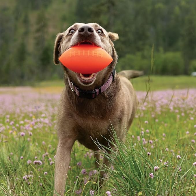Ruff Dawg Football XL Dog Toy – Bouncy, Floating Fetch Toy for Aggressive Chewers – Ideal for Outdoor Play, Exercise & Teething Relief – Neon Colors for High Visibility