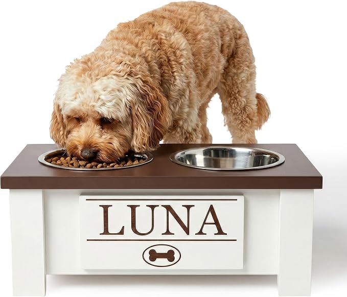 GTW Personalized Elevated Dog Bowl Stand for Large, Medium, Small, X-Small Dogs - Stainless Steel Food and Water Bowls - Raised Dog Dish with Internal Storage (Small, Dark Walnut)