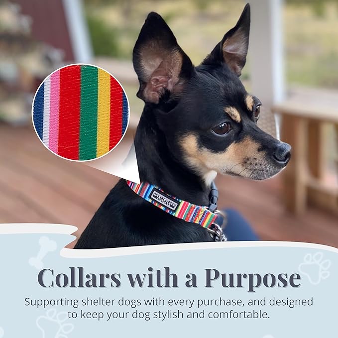 Lucky Love Dog Collars, Rainbow Stripes Pattern Dog Collar for Medium Dogs, Comfortable & Soft Cute Girl or Boy Dog Collar, Hippie, Medium