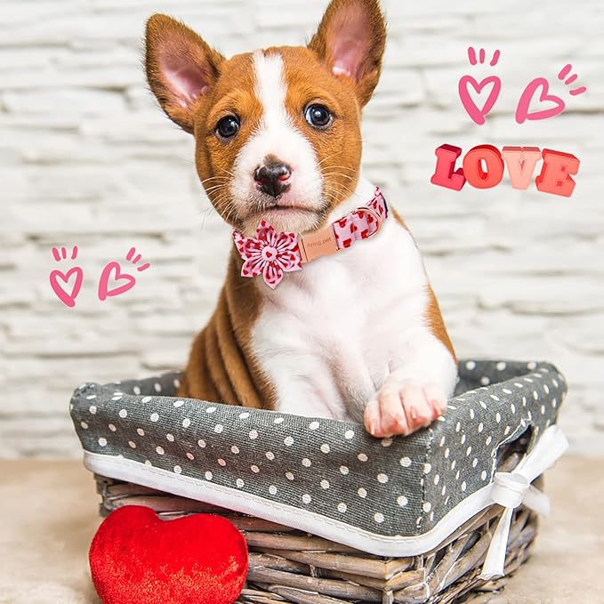 ARING PET Valentine's Dog Collar-Adorable Pink Heart Dog Collar with Flower, Adjustable Cotton Girl Dog Collars with Metal Buckle