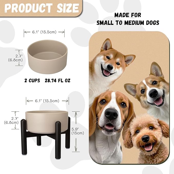 Raised Ceramic Dog Bowl - Elevated Food Water Dish with Stainless Steel Stand - for Small to Medium Dogs - 6 Inch - 2 Cups (28.75 fl oz) - Grey