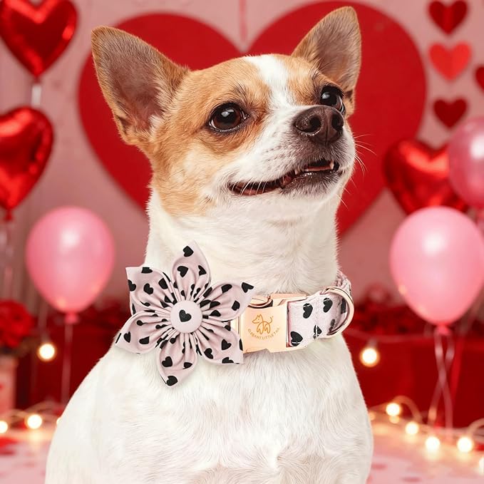 Elegant little tail Valentine's Dog Collar - Pink Black Heart Dog Collars Flower Pet Collars with Sturdy Metal Buckle Puppy Flower Adjustable Collar for Small Dogs