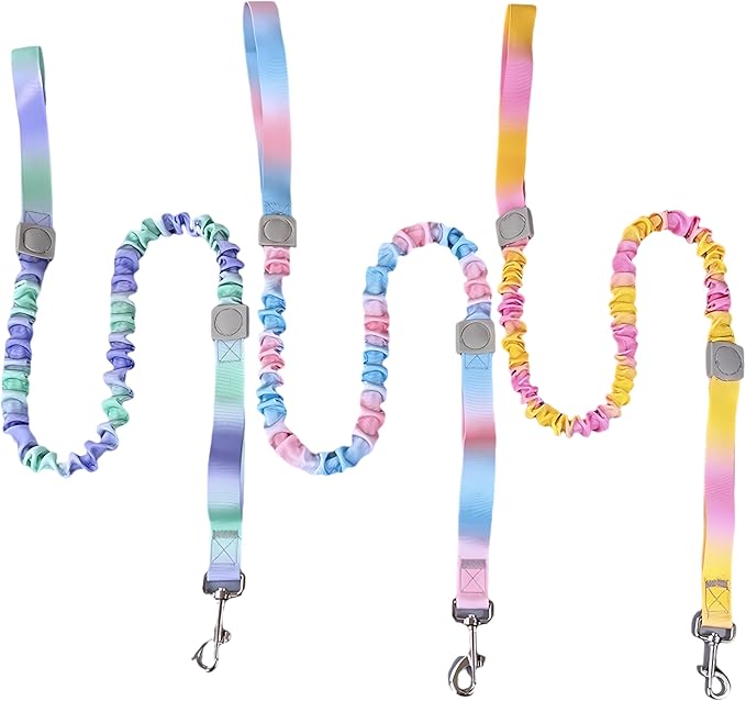Dual Handles Bungee Dog Leash, Ombré Color Shock-Absorbing Dog Leash with 360° Swivel Clasp, for Small to Medium Dogs (4 – 5.5 ft) (Violet-Green Ombré)
