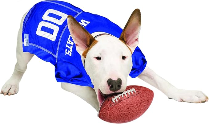 Pets First NCAA College Kentucky Wildcats Mesh Jersey for DOGS & CATS, Medium. Licensed Dog Jersey with your Favorite Football/Basketball College Team