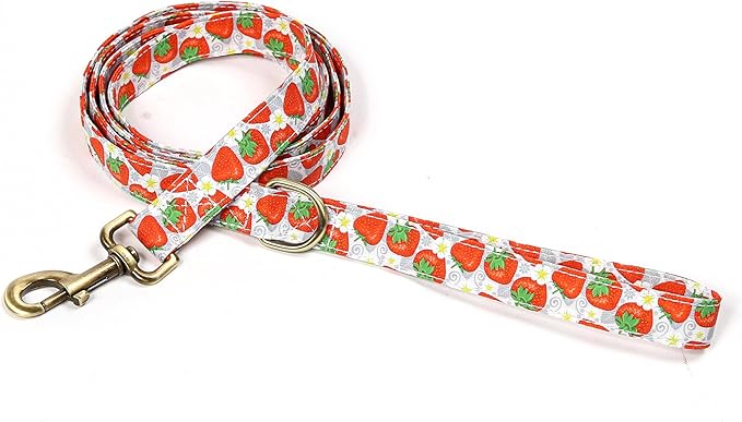 Organic Cotton Dog Leash for Small,Medium and Large Breed,Brass Hardware Pet Leash for Walking,Running and Training 6FT
