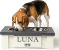 GTW Personalized Elevated Dog Bowl Stand for Large, Medium, Small, X-Small Dogs - Stainless Steel Food and Water Bowls - Raised Dog Dish with Internal Storage (X-Small, Grey)