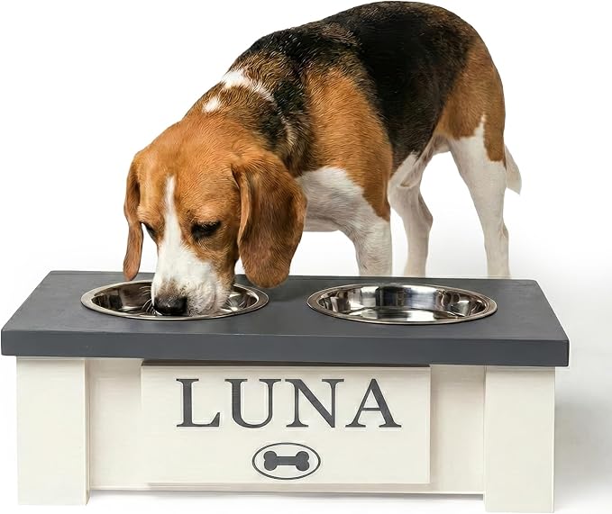 GTW Personalized Elevated Dog Bowl Stand for Large, Medium, Small, X-Small Dogs - Stainless Steel Food and Water Bowls - Raised Dog Dish with Internal Storage (X-Small, Grey)