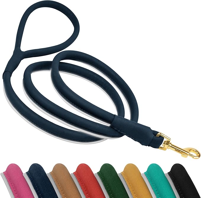 OOPSDOGGY Reflective Rolled Leather Dog Leash 6ft - Soft Training Lead for Small Medium Large Dogs Puppy - Heavy Duty Rope Puppies Leashes for Outdoor Walking Running (Blue, Small)