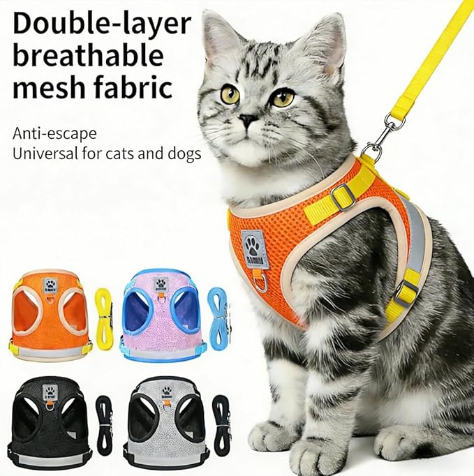 Dog Harness and Leash Set-No Pull No Choke Step-in Pet Harness for All Weather Lightweight Adjustable Cat Harness Breathable Soft Mesh Puppy Vest with Hook & Loop Fastener Buckles D-Rings-Orange-S
