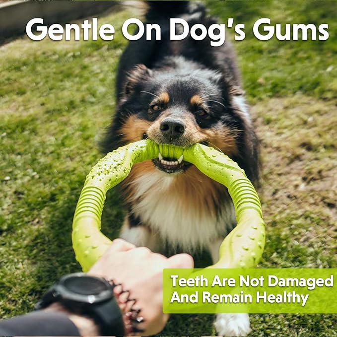 LaRoo 11.8 Inch Heavy-Duty Dog Flying Ring - Floating Chew Toy for Aggressive Chewers, Interactive Tug of War & Teething Toy for Medium/Large Dogs, Waterproof Outdoor Fetch Toy (Green)