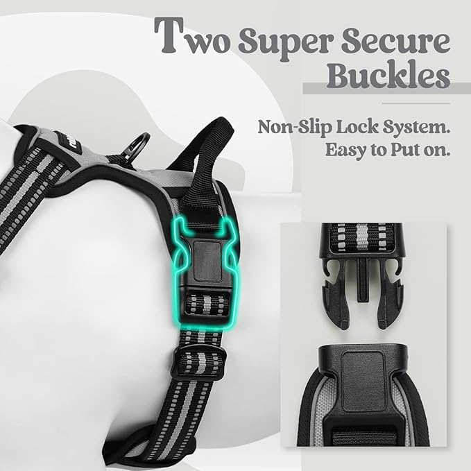 rabbitgoo Dog Harness No Pull with 2 Leash Clips, Adjustable Soft Padded, Reflective Oxford No Choke Pet Vest with Easy Control Handle for Medium Sized Dogs, Grey, M
