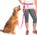 The Buddy System Hands Free Dog Leash, Adjustable Leash for Running, Jogging, Training and Service Dogs, Great for Small, Medium and Large Dogs, Made in USA (Pink, Regular Belt (22"- 40" Waist))
