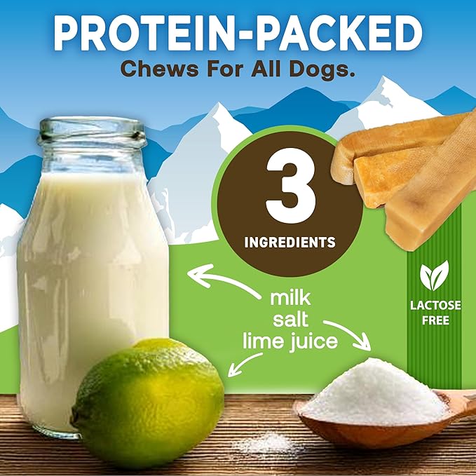 EcoKind Premium Gold Yak Cheese Himalayan Dog Chews, Healthy Dog Treats for All Dog Breeds & Sizes, All Natural, Long Lasting Dog Chew for Aggressive Chewers, High Protein Treat, Medium - 3 Chews
