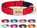 PET ARTIST Personalized Dog Collars, Colorful Red Custom Dog Collar with Silent Engraved ID Tag, Lightweight Breathable Nylon & Soft Padded, Matching Leash & Poop Bag for Large Dogs,L Fit 15-23"