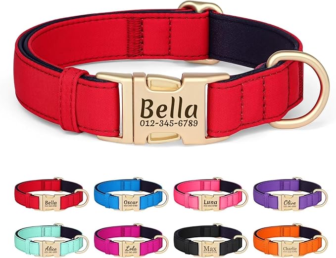 PET ARTIST Personalized Dog Collars, Colorful Red Custom Dog Collar with Silent Engraved ID Tag, Lightweight Breathable Nylon & Soft Padded, Matching Leash & Poop Bag for Small Dogs,Fit 10-15"