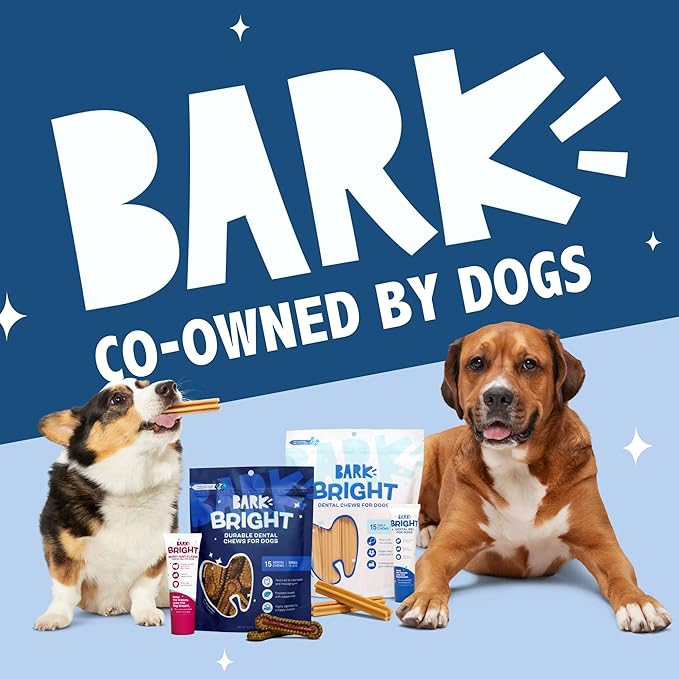 Barkbox Bright Durable Dog Dental Kit for Tough Chewers, 15 Chew Sticks & Toothpaste - Medium Breeds