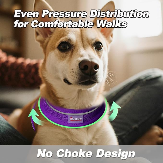 Dog Harness and Leash Set,Step in Small Sized Dog Harness,Soft Mesh,No-Chock,Reflective Adjustable,Secure with Hook & Loop Fastener,Puppy Vest for Small,Medium Dogs(Purple,S)
