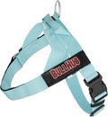 BULLHUG Adjustable Dog Harness– No Pull, No Choke – for English Bulldogs, French Bulldogs, Pugs & Broad-Chested Breeds – Easy, Safe Walks (Tiff Blue, Large)