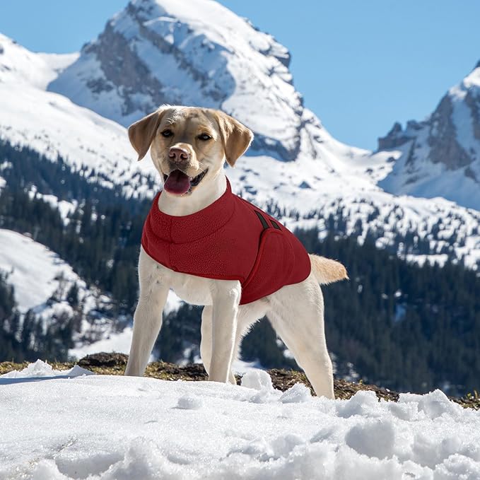 Queenmore XXL Dog Sweater, Soft Fleece Vest Pullover Dog Jacket with Leash Hole, Warm Winter Dogs Clothes Cold Weather Doggy Dachshund Sweaters for Large Dogs Cats Boy or Girl (Burgundy, XXL)