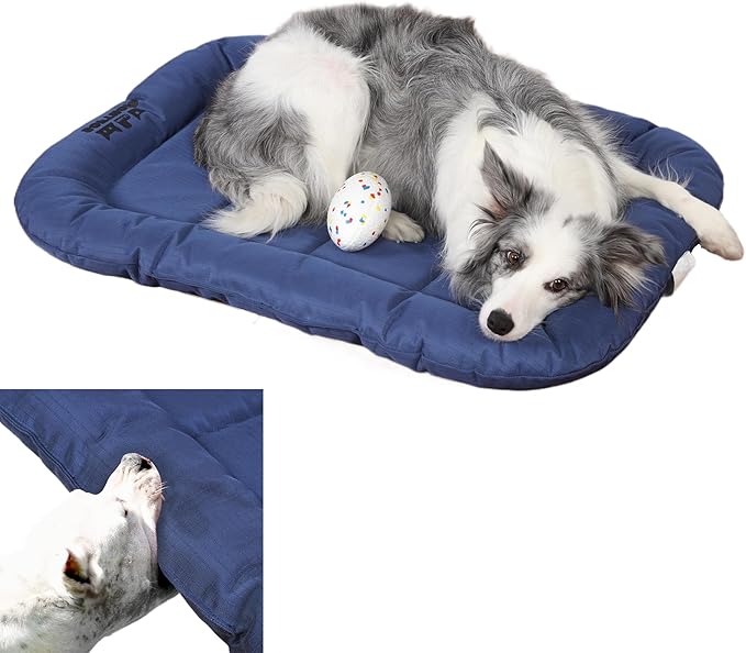Durable Outdoor Dog Bed with Pillow Around Curling Sleep Fully Waterproof Indoor Cat Bed Crate Mat Stable Kennel Pad, for Pets (Blue, Large(35x21in))