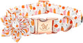 Elegant Little Tail Halloween Pumpkin Dog Collar with Soft Durable Flower Pet Collar for Large Dogs
