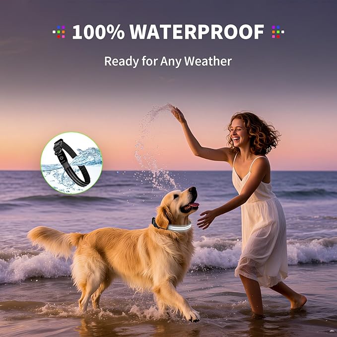 PetIsay Dog Light up Collar for Night Walking - High Visibility LED Dog Collar - Rechargeable - Waterproof - Reflective - Adjustable Lighted Glow Collars(White,Medium)