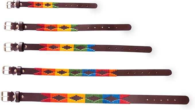 Leather Dog Collar in Orange by Gaucho Goods