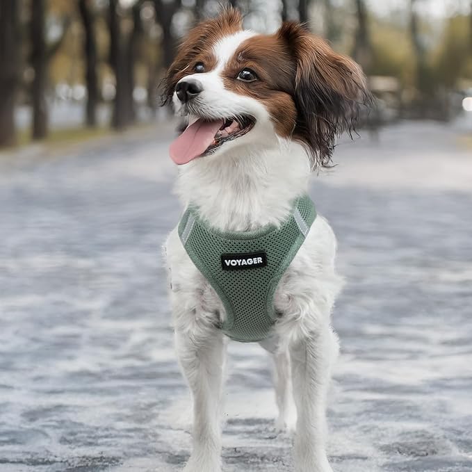 Best Pet Supplies - All Weather Mesh/Plush, Reflective, No Pull Harness for Small, Medium Dogs, Cats - Secure with Hook & Loop Fastener, Buckle, Double D-Rings - Moss Green, XL