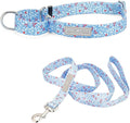 Lucky Love Dog Martingale Dog Collar & Leash - Adjustable, No-Slip, Durable, Comfortable, Soft Webbing, & Stylish Patterned Collar & Leash Set for Male and Female Dogs - Winterblue Combo, Medium