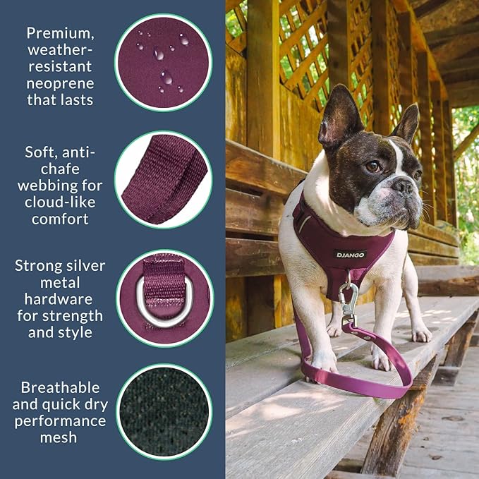 DJANGO Tahoe No Pull Dog Harness – Escape-Proof Dog Harness for Small Dogs with Front & Back Clips for Everyday Use – Adjustable, Padded, Reflective, Secure Fit, Easy On/Off – Raspberry Purple, Small