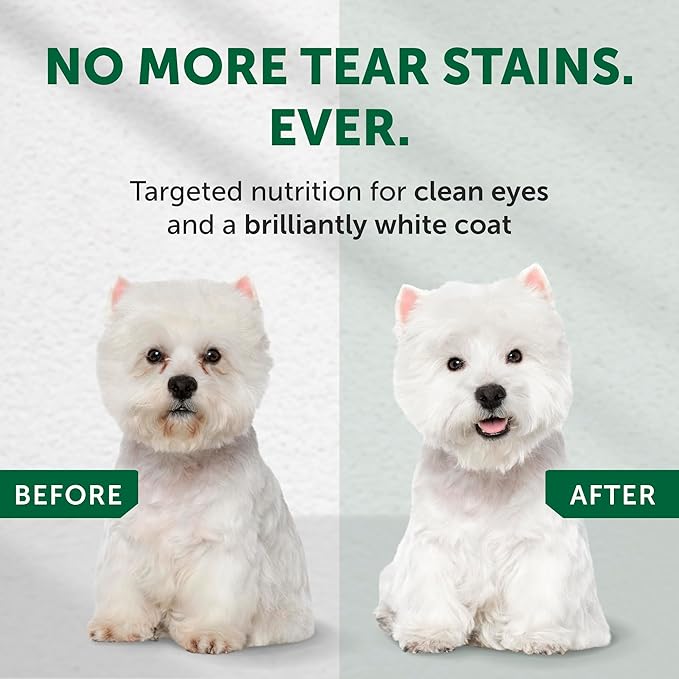 Nature's Protection Hypoallergenic Small Breed Dry Dog Food - High Protein, Grain Free Tear Stain Formula - Dog Kibble for Sensitive Stomachs for Adult Light Fur Dogs (Superior Care - Insect, 3.3 lb)