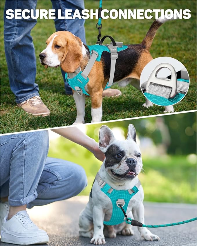 TagME No Pull Dog Harness with 2 Leash Clips,Lightweight & Visible for All-Day Walking,No Choke Pet Vest Includes AirTag Holder for Medium Dogs,Teal
