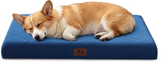 Orthopedic Dog Beds for Medium Dogs, Washable Pet Bed Mat with Removable Cover, Waterproof Egg Crate Foam Puppy Bed Anti Slip, 30" x 20"