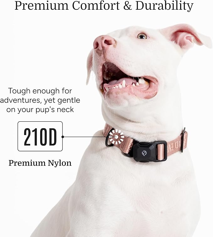 2026 New Edition, Fei & Eve MagEase Dog Collar - Patented Magnetic Buckles | Fur-Safe | Premium 210D Nylon | 450LB Escape-Proof | Adjustable Fit | Large (Blush)