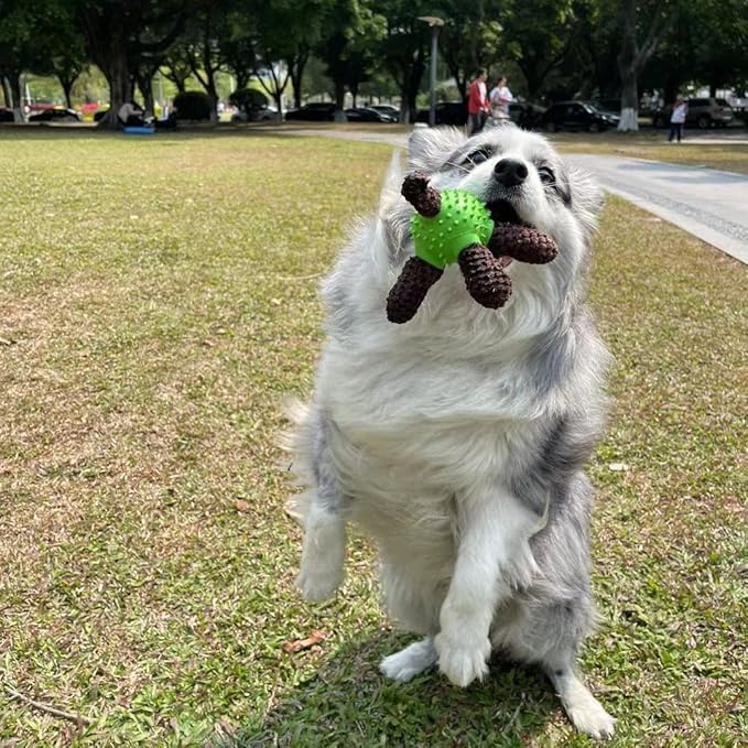 Squeaky Dog Toys, Interactive Durable Plush Pet Toys,Food Dispensing Toy,Funny Rubber Chew Puzzle Toy for Puppy Middle Large Dogs