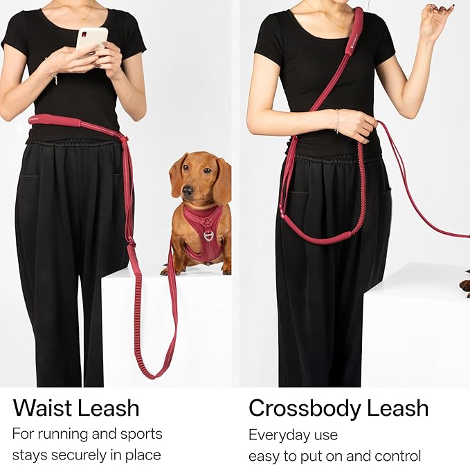 Hands Free Dog Leash Adjustable Versatile Crossbody Waist Dog Leash Reflective Comfortable Padded Handles Shock Absorbing Walking Lead for Small Medium Large Dogs (Super Reflect-Earth, M)