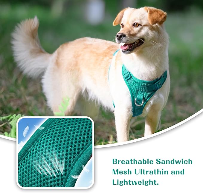 No Pull Dog Harness for Small Medium Large Dogs - Adjustable 2 Layer Mesh Dog Vest with Dual Clip, Escape Proof, Quick Release, Lightweight Breathable Mesh for Walking Hiking (MARRS Green,L)