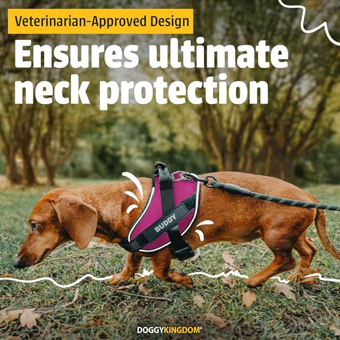 Personalized No Pull 360° LED Dog Harness with Custom Name Patches, USB Rechargeable, Adjustable, Reflective for Night Walks, Rainproof Module with 3 Modes Lasts up to 24h, Rose Red, 2XL