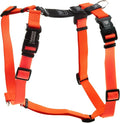 Blue-9 Buckle-Neck Balance Harness, Fully Customizable Fit No-Pull Harness, Ideal for Dog Training and Obedience, Made in The USA, Orange, Small