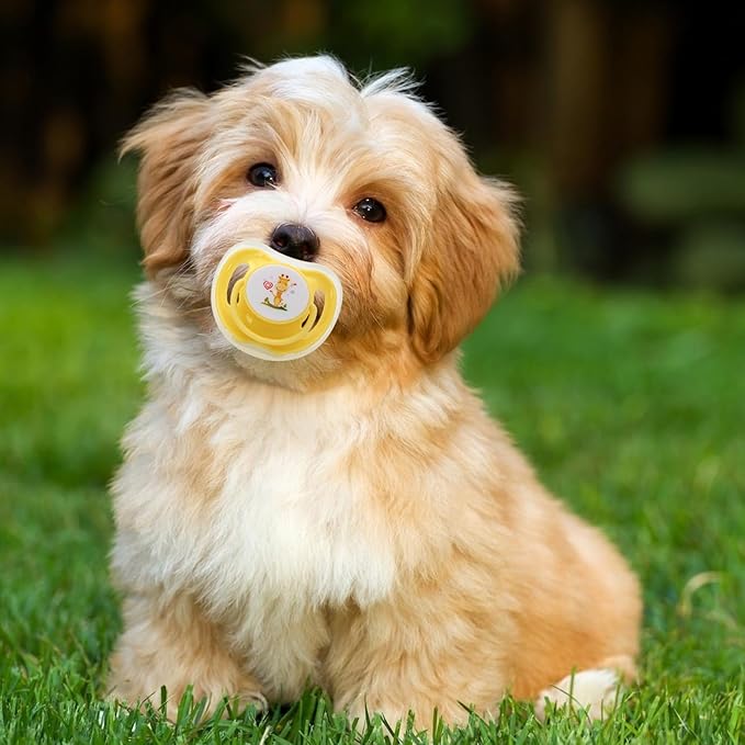 Dog Pacifier 4Pcs Food-Grade Safe Puppy Teething Toys with Lid Cute Chewable Kitten Pacifier Soothing Essential Pet Supplies Kitten for Suckling Puppy Teething Toys