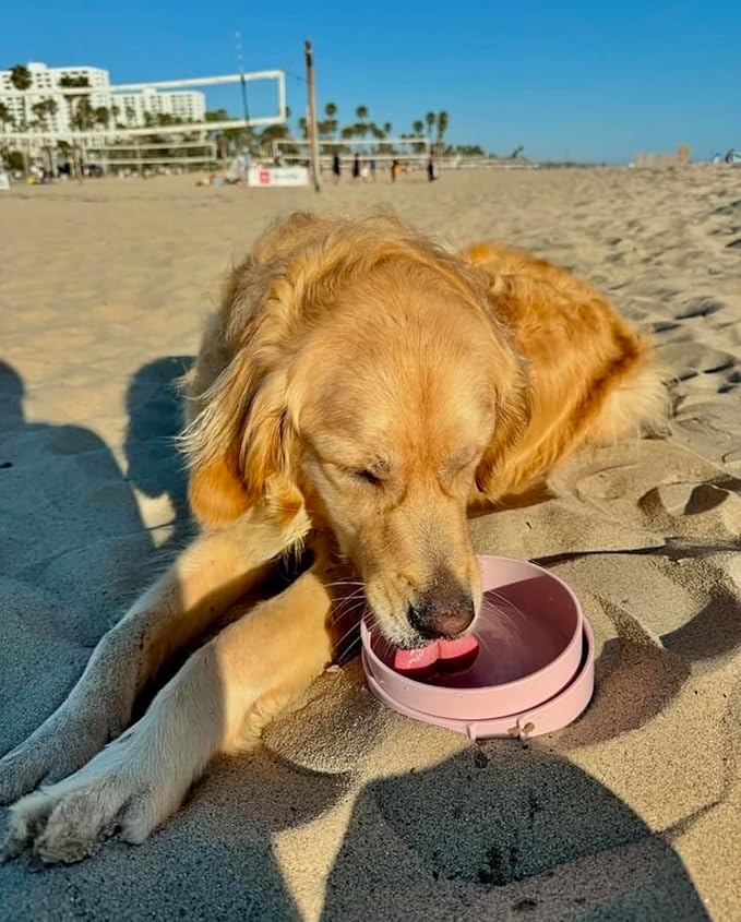 Barkin’ Trails Travel Dog Bowls, Portable Outdoor Water, BPA-Free Water Bowl Set, Food Grade Plastic Dog Travel Bowl, Dog Camping Essentials, Travel Container