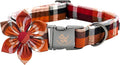 Elegant little tail Fall Dog Collar, Halloween Plaid Dog Collar with Flower Girl Boy Pet Collar Dog Flowers Soft Durable Pet Collar for X-Small Dogs