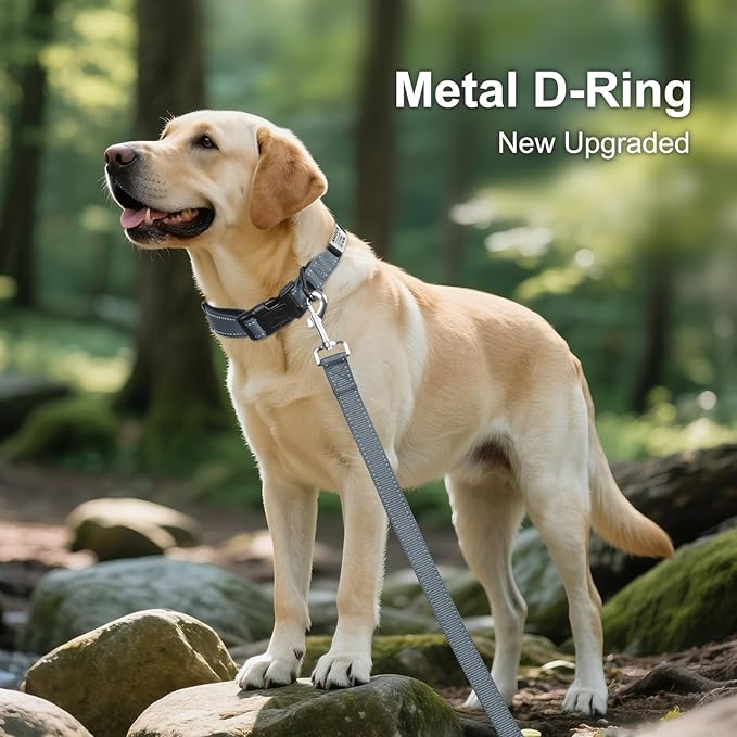 Joytale Personalized Dog Collars with Engraved Name Plate, Silent No Jingle Custom Nylon Collar with Fixed ID Tag, Reflective Soft Neoprene Padded Breathable for XLarge Dogs, Gray