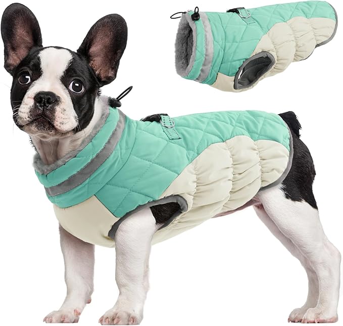 FUAMEY Dog Coat for Small Dogs,Waterproof Dog Winter Jacket with Harness Built in Puppy Cold Weather Coats Reflective Pet Vest with Zipper Warm Fleece Dogs Snowsuit Windproof Mint Green XS