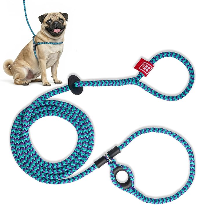 Harness Lead No Pull Dog Harness and Leash Set, Anti Pull Dog Harness, One-Piece Cushioned Rope Safely Prevents Escaping and Pulling *New Insert is Removable (Small/Medium, Purple/Turquoise)