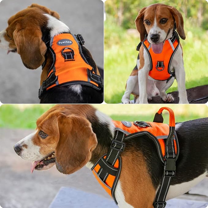 No Pull Dog Harness, Reflective Walking Dog Harness with Easy Control Handle and Front & Back Clips,Adjustable Breathable Soft Padded Dog Vest Harness for Large Medium Small Dogs,Orange,M