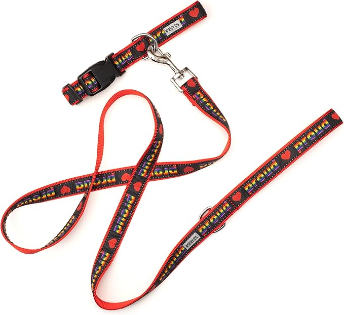 THE WORTHY DOG Collar for Large Dogs, Adjusts 18-24 inches, Durable Nylon Webbing, Quick Release Buckle, Proud Pattern, Black, X-Large