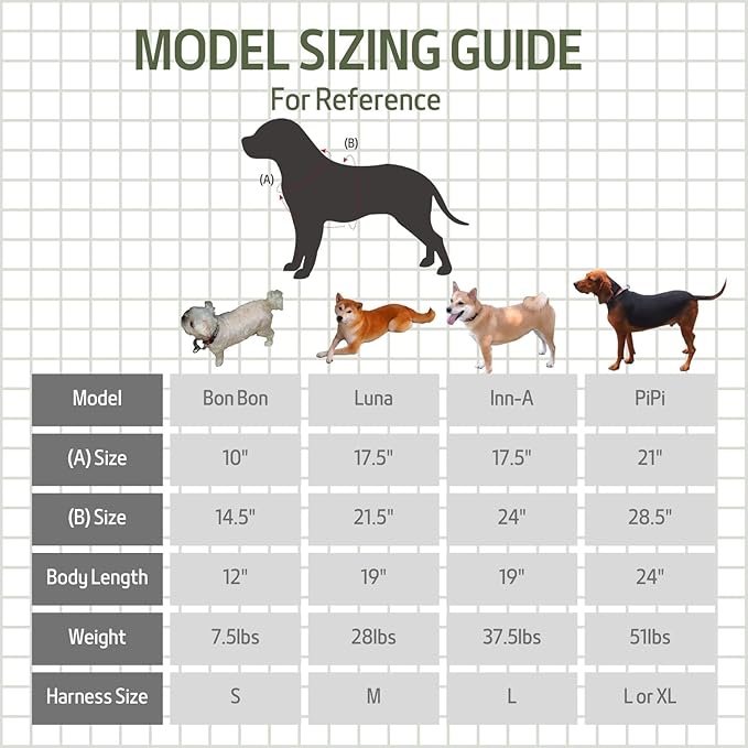 Casual H Dog Harness, No-Pull Pet Harness with 2 Leash Clips, Adjustable Soft Padded Dog Vest for Small, Medium, and Large Dogs, Forest Green Gradiant Color (L)