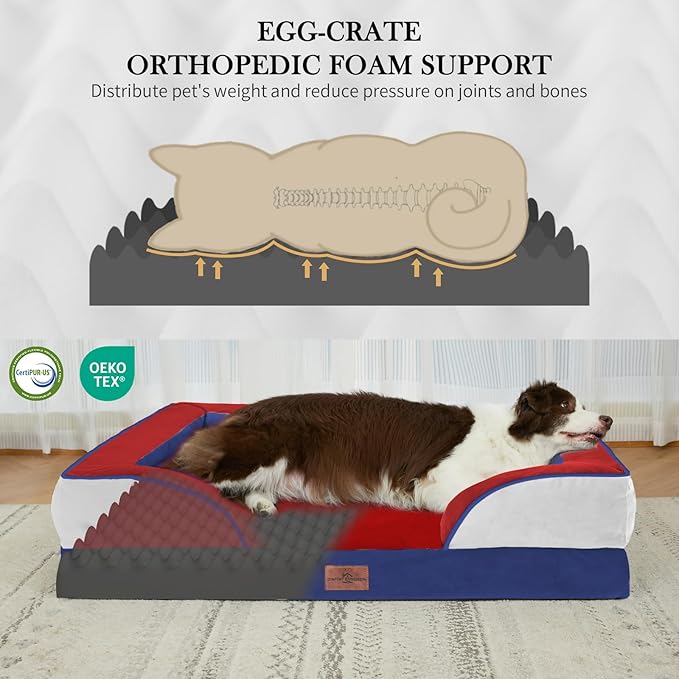 Comfort Expression Orthopedic Dog Bed for Large Dogs 36x27 Inch, Waterproof Egg Crate Foam Large Pet Bed with Removable Bolsters, Dog Couch with Washable Cover & Non-Slip Bottom, Primary Tri-Color